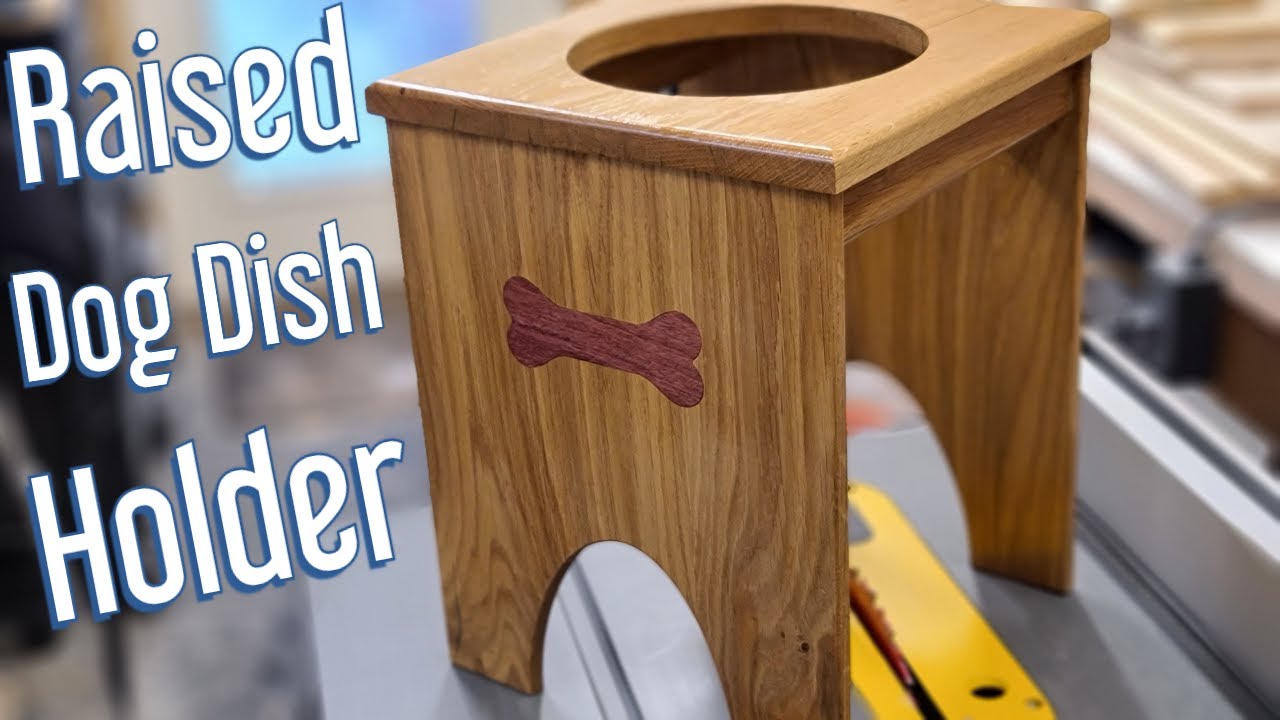 Raised Dog Dish Holder YouTube