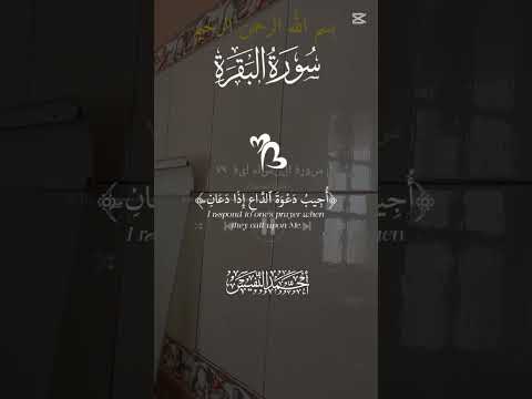 القهوة تطهي بيضة و نصف سكر من الحبيب وملعقتان دقيق وباسرع وقت كراب مع الشكلاطة بنا لفطور صباحي