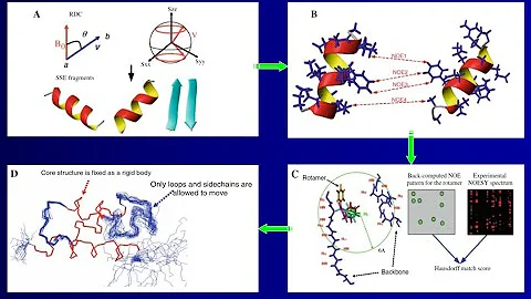 NMR, RDCs and Protein Structure Calculation - Lecture L04 by Bruce Donald, Duke University