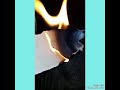 المحله الكبرى شوف لاول مره من غير اي سبب يغلط في الناس من غير اي سبب يطلع بس مباشر المحله الكبرى شوف لاول مره من غير اي سبب يغلط في الناس من غير اي سبب يطلع بس مباشر