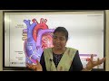 Blood &amp; Circulation Part 1 | এই টপিক না জানলে Science পরীক্ষায় কাঁচা খাবে! | Alpona Ma’am, WBCS 2025