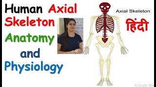 Axial Skeleton in Hindi | Human Skeleton System | Skull | Rib Cage | Vertebral Column