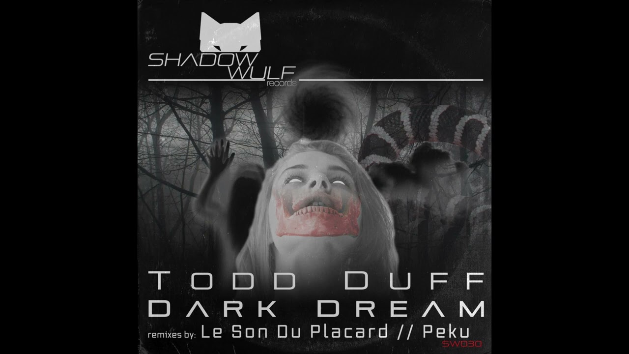 Todd Duff - The Rhythm (Original Mix)