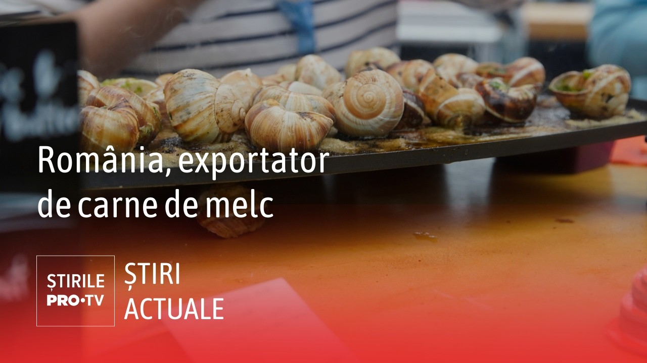 România se numără printre principalii exportatori de carne de melc din Europa