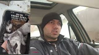 картинка: Харгуша дар кучо фурушем ?