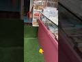 my shop first vlog🥹🥹 daily vlog#motivation#minivlog #vlog
