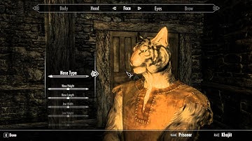 Shipwrecked - SKYRIM Mod Adventures - Part 1