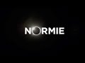 Normie  the illusion of normal  the beauty of love