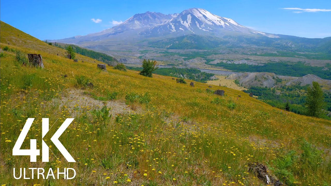 Soothing Bird Sounds - Views from the top of the Mountain 4K HDR - Nature Soundscapes