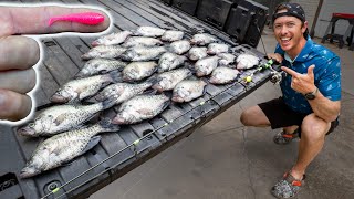 Fishing Shallow Crappie with Micro Swimbaits