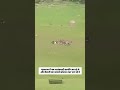 पाकिस्तानियों को उनकी औकात दिखाने की बारी है 🤬🚩 #जय #jaishreeram