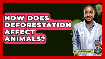 How Does Deforestation Affect Animals? - Earth Science Answers