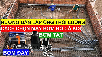 Hướng Dẫn Lắp Ống Thổi Luồng Hồ Cá Koi. Cách Làm Hướng Luồng Xoáy Ly Tâm. Cách Chọn Máy Bơm Hồ Koi