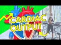 Cardiac Output