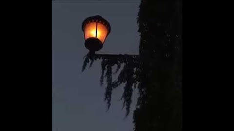 سورة القصص القارئ رعد الكردي