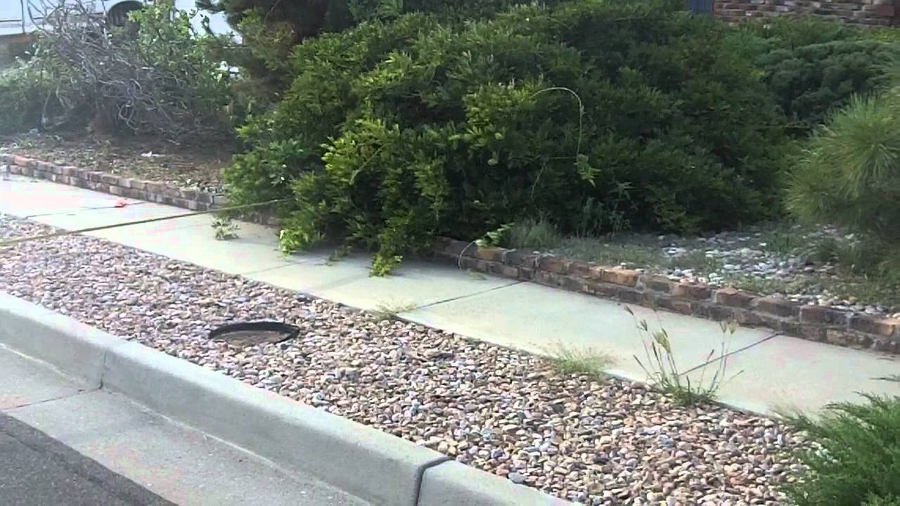 1997 7.3l F250 pulling bush out with tow rope YouTube