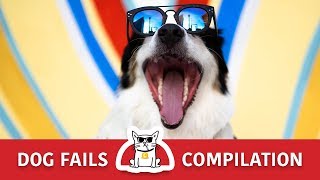 EPIC Dog Fails Compilation Try Not To Laugh Challenge