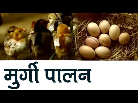 वीडियो: एक नए दिन में आसानी से कैसे एकीकृत करें