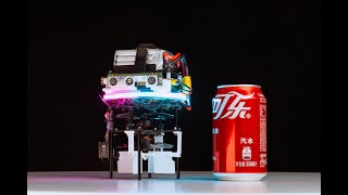 Canfly: A Can-sized Autonomous Mini Coaxial Helicopter