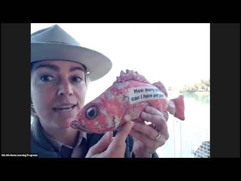 Explore Marine Protected Areas at Morro Bay State Park