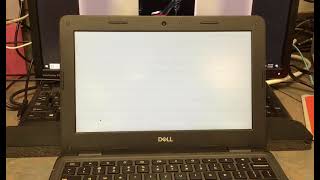How to Access the STAAR App from your School Chromebook