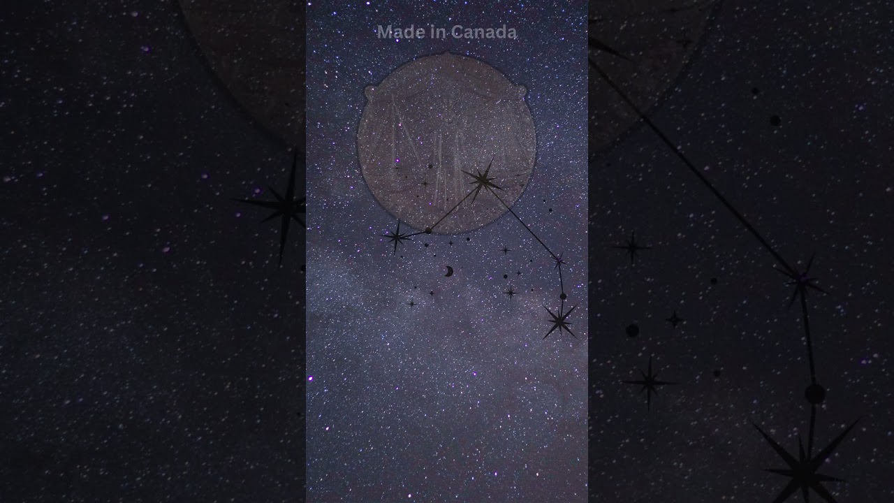 Zodiac Signs 🌠 Wall Decor by AquaGarden 