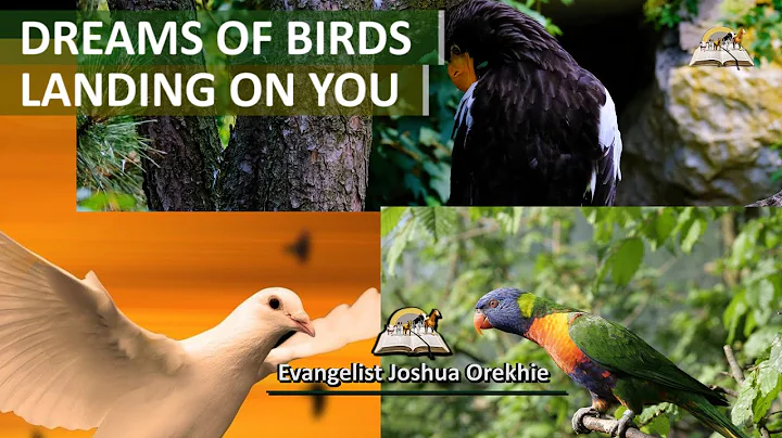 Rüyanızda Üzerinize İnen Kuşlar - Kuşların İncil'deki Anlamı