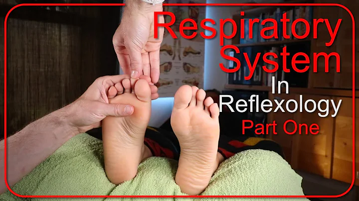 How to Work the Respiratory System in Reflexology Part 1 - DayDayNews