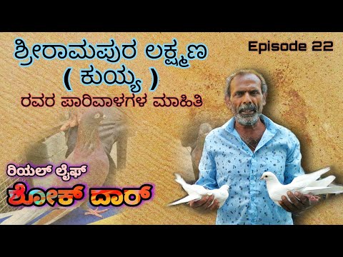 Real life Shokdhar | Episode 22  ಶ್ರೀರಾಮಪುರ ಲಕ್ಷ್ಮಣ ( ಕುಯ್ಯ) ರವರ ಪಾರಿವಾಳಗಳ ಮಾಹಿತಿ