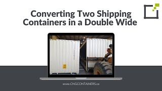 16' x 40' Container Solution: Dog Boarding