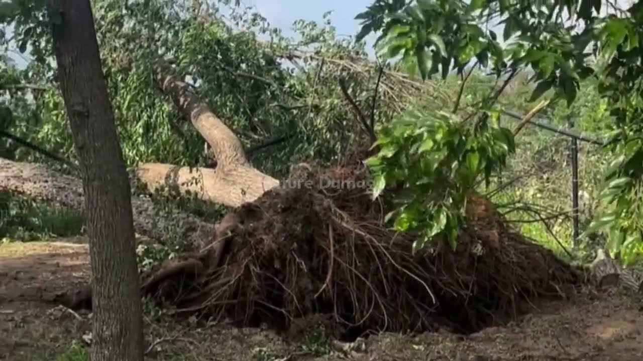 Missouri Destroyed! Brutal Baseball Size Hail Destroying Many Homes ...