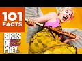 101 Facts About Harley Quinn and the Birds of Prey