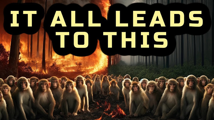 Monkeys Escape BioLab & California Burns