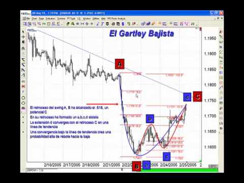 Vicente luz forex