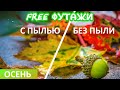 Футажи Осень #1 золотая для видеомонтажа