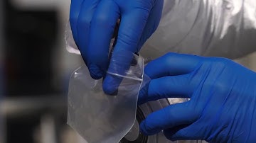 BMFS field protocol - Sample filtration