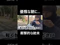 山奥で優雅な朝を過ごしていたら大事故が起きました.. #トラブル #モーニングルーティン #キャンプ #パニック