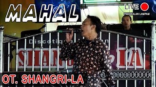 MAHAL - OT. SHANGRI-LA - PANGKALAN LAMPAM (OKI) #dangduthits #orgentunggal #otpalembang  #meggy.z