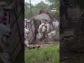 Panique au Texas : un camion se renverse... des millions d'abeilles s'échappent !｜TF1 INFO