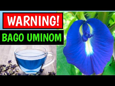 BUTTERFLY PEA The Hidden truth