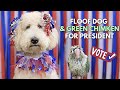 Floof Dog for President! (And Green Chimken Too)