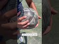 ازي تشوط ضربات الجزاء