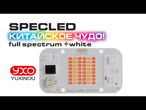 LED COB 220V