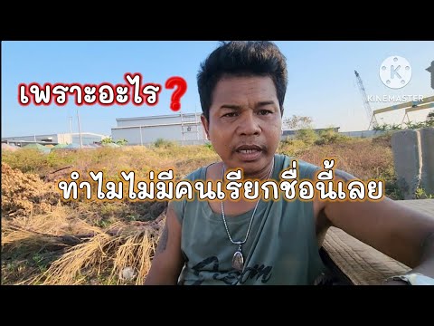 ผลสลากกินแบ่งรัฐบาล วันที่ 1 พย. 2567