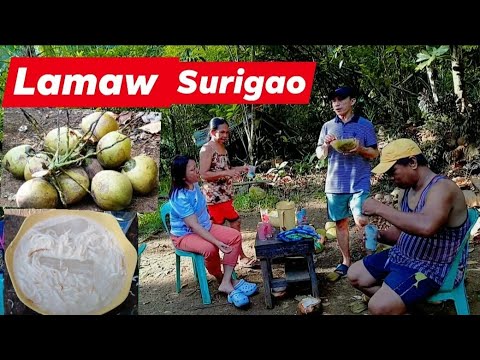 Lamaw Surigao #foryou #viral #highlight #satisfying #asmr @Raul69199