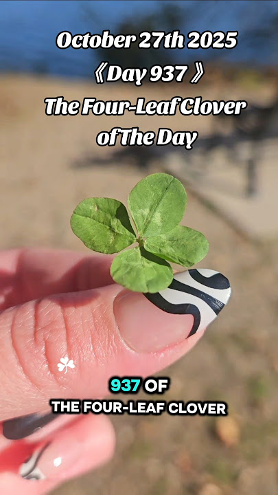 Day 937 Finding a Four-Leaf Clover Consecutively!🍀 #wisconsin #fourleafclover