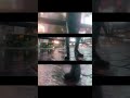 【MV】Shibuya - Naoya Kotari #shorts
