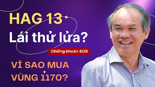 Cổ phiếu HAG giá 13 lần nữa - Chán nản và hưng phấn chỉ cách nhau 1 phiên