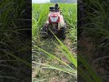 VST power tiller 165di