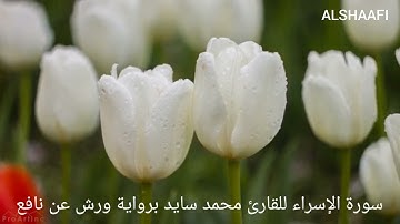 محمد سايد - سورة الإسراء |017| MOHAMED SAYED - SURAT AL ISRAE